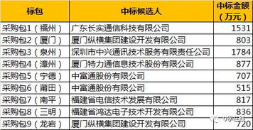 本地守護(hù)者崛起 福建鐵塔8590萬(wàn)基站代維項(xiàng)目中標(biāo)透視